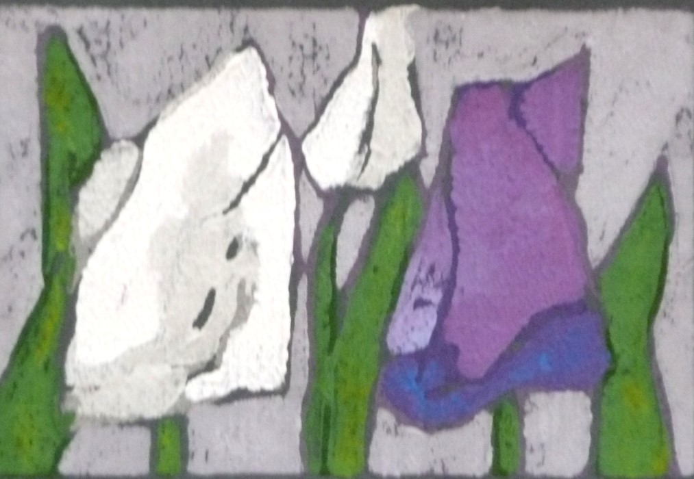Tulpen weiß/rosa/violett