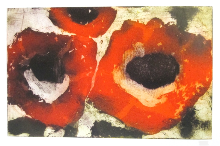 Anemonen rot